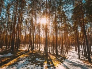 Hyland Crest Respiratory Outbreak Declared Facility Wide